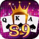 S9-game